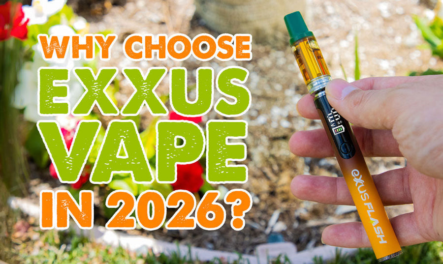 ¿Por qué elegir Exxus Vape en 2026?