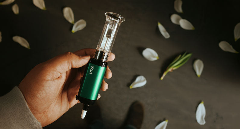 Hand holding Exxus VRS with flower petals scattered across the floor